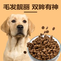 心粮 时刻鲜肉羊乳狗粮通用犬粮中大型犬全犬金毛边牧宠物食品低敏