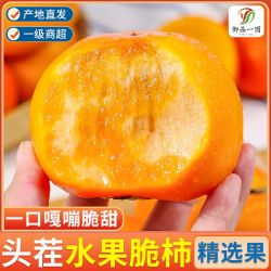 御品一园 脆柿子现摘脆甜巧克力黄柿子新鲜水果当季整箱