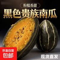 山东贵族南瓜板栗贵妃羊角南瓜粉糯香甜山东小橄榄贝贝南瓜辅食 贵族贝贝南瓜（高品质）净重 2.7斤