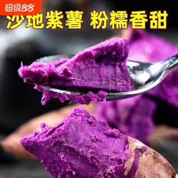 紫薯红薯当季新鲜蔬菜现挖蜜薯粉糯香甜农家自种紫罗兰紫心薯沙地