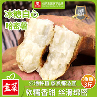 佳农 宝菜天目山小香薯软糯香甜细腻单果约30g+净重3斤源头直发 佳农天目山小香薯3斤
