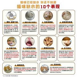 K9 猫用零食罐猫咪罐头3味混合成猫幼猫通用湿粮拌主粮补水