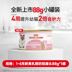 皇家 新品上市皇家猫粮猫奶糕离乳期罐头88g*1罐