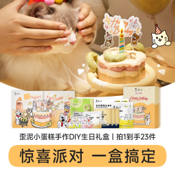 诚实一口 歪泥小蛋糕手作DIY生日礼盒猫咪零食猫罐头餐盒猫条