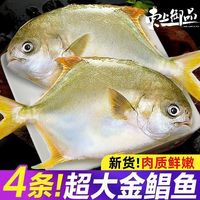 百亿补贴：东上御品 金鲳鱼4条超大鲳鱼新鲜冷冻海昌青岛金昌鱼海鲜水产批发