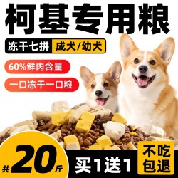 养相思 柯基专用狗粮20斤装幼犬成犬中小型犬全价冻干犬粮10小狗5斤
