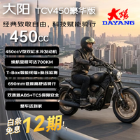 大阳电动车 大阳TCV450 豪华版燃油跨骑巡航机车复古水冷长续航26款