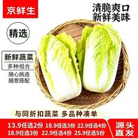 京鲜生 兰州大娃娃菜550g/份 新鲜蔬菜脆嫩爽口 源头直发