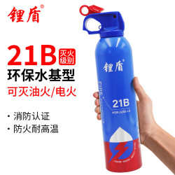 锂盾 21B灭火器 620ml