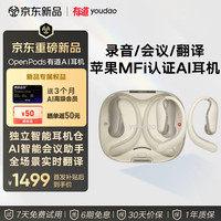 网易有道 有道AI耳机OpenPods 录音会议翻译蓝牙耳机网易耳机 同声传译翻译机 挂耳式运动降噪耳机白色适配苹果