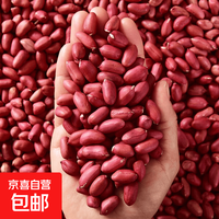 红花生米5斤中粒红皮生花生仁五谷杂粮粗粮 八宝粥原料新花生 红皮花生500g