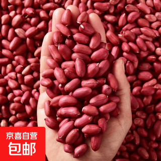 红花生米5斤中粒红皮生花生仁五谷杂粮粗粮 八宝粥原料新花生 红皮花生500g