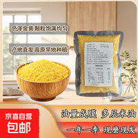 黄小米 山西代县小米新米250g