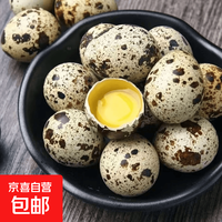 京喜加 新鲜鹌鹑蛋宝宝辅食当日现捡现发生鲜超市批发批发早餐礼物单枚8g 50枚