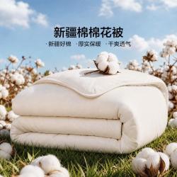 LOVO 罗莱生活乐蜗新疆棉被100棉花被芯学生春秋被冬被加厚被芯宿舍