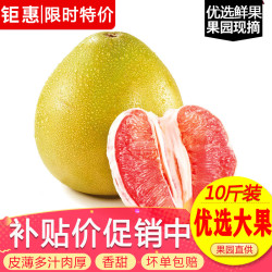 玖原农珍 沙田柚 2.5kg