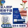 凡士林 3人团 凡士林润唇膏3.5g男女士保湿滋润嘴唇防干裂修护唇膏经典原味