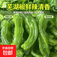 现摘新鲜芜湖椒薄皮青椒农家自种微辣虎皮椒炒菜时令蔬菜整箱发货 芜湖椒1斤