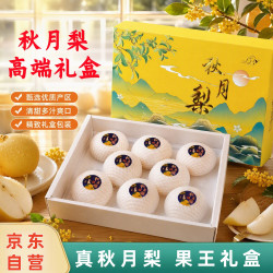 京地达 正宗山东莱阳秋月梨大果 净重7斤礼盒单果400g起应季水果源头直发