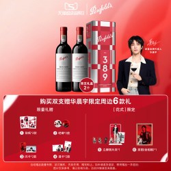 奔富 BIN389 澳大利亚干型红葡萄酒 2瓶