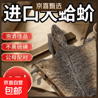 蛤蚧一对中药材干货药用泡酒煲汤蛤蚧粉 约16-17cm