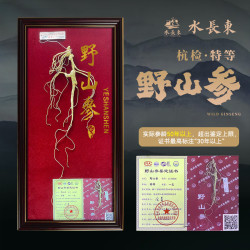 水长东 50年以上国检特等野山参8.9g高端中秋礼盒长白山人参源头直发包邮