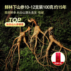 半山农 新鲜林下山参礼盒10-12支100克 约15年长白山人参滋补品源头直发