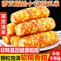 云南版纳香糯小玉米苞谷儿童早餐代餐新鲜甜糯玉米真空非转基因
