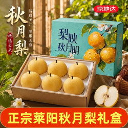 京地达 正宗山东莱阳秋月梨大果净重5斤礼盒 单果320g起应季水果源头直发