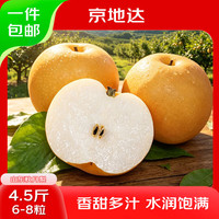 京地达 山东羊脂秋月梨 净重4.5斤 单果300g+ 新鲜水果 源头直发 包邮