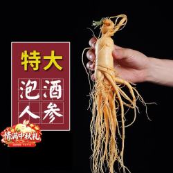 半山农 新鲜人参1支约40克 东北特产长白山人参泡酒药材长辈补品中秋礼品