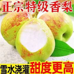 壹棵弘芯 正宗红酥香梨新鲜水果当季现摘脆甜梨子生鲜整箱 优选5斤超值装净重约为4斤+