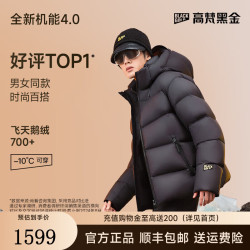 高梵 249g+充绒 黑金鹅绒服机能4.0五格冬季羽绒服厚外套 GH324153