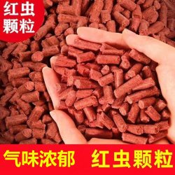 红虫蚯蚓颗粒打窝料窝料野钓打窝鲫鱼鱼食鲤鱼鲮鱼底饵料诱饵溪流