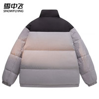 雪中飞 女士立领短款羽绒服 灰色 L(175)