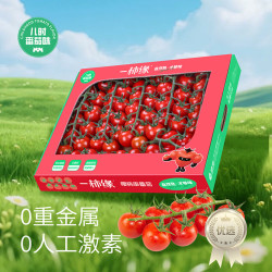 京鲜生 一柿缘 串收樱桃小番茄精品中秋礼盒净重790g 小西红柿源头直发