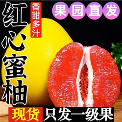集年鲜 福建新鲜红心柚子新鲜红柚采摘水果节日送礼 整箱5斤净重4.5斤大果