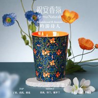 移动端：祝安 香氛艺术家香氛室内家居大容量香薰蜡烛礼品礼物
