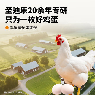 圣迪乐村 可生食鸡蛋 Omega-3蛋 2.5kg(30枚+20枚) 组合装