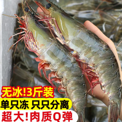 东上御品 超大虾 净重3斤