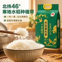内蒙古兴安盟大米5kg1袋寒地水稻黄金种植带十月稻田