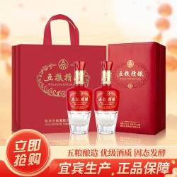 五粮液 股份五粮精酿珍典52度500ml*2瓶浓香型白酒中秋送礼