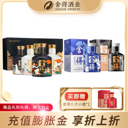 舍得 艺术舍得大典小酒礼盒 浓香型白酒 黑色+蓝色