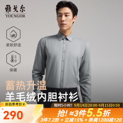 雅戈尔 长袖衬衫男棉混纺面料羊毛绒内胆保暖衬衫灰色条纹VLBN119702DJA 40 （175/92A）