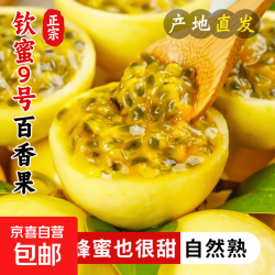黄金百香果钦蜜9号整箱包邮现摘现发当季新鲜水果纯甜如蜜特大果 20粒装（单果30-45g）