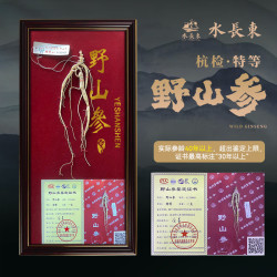 水长东 40年以上国检特等野山参4.8g高端中秋礼盒长白山人参源头直发包邮