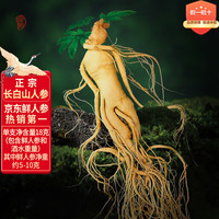 长白山人参 鲜人参泡酒材料约5年鲜粮食酒密封保鲜参泡酒煲汤送长辈1支装