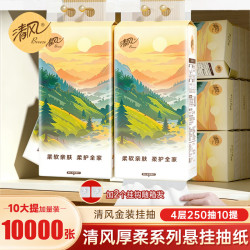 清风 抽纸悬挂式纸巾4层加厚10000张10提整箱装