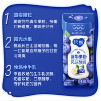 蒙牛 200ml×10盒 纯甄蓝莓果粒风味酸奶