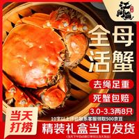 江问鱼 去绳足重、死蟹包赔：大闸蟹全母蟹3.0两-3.3两 8只装（22.8元/只）